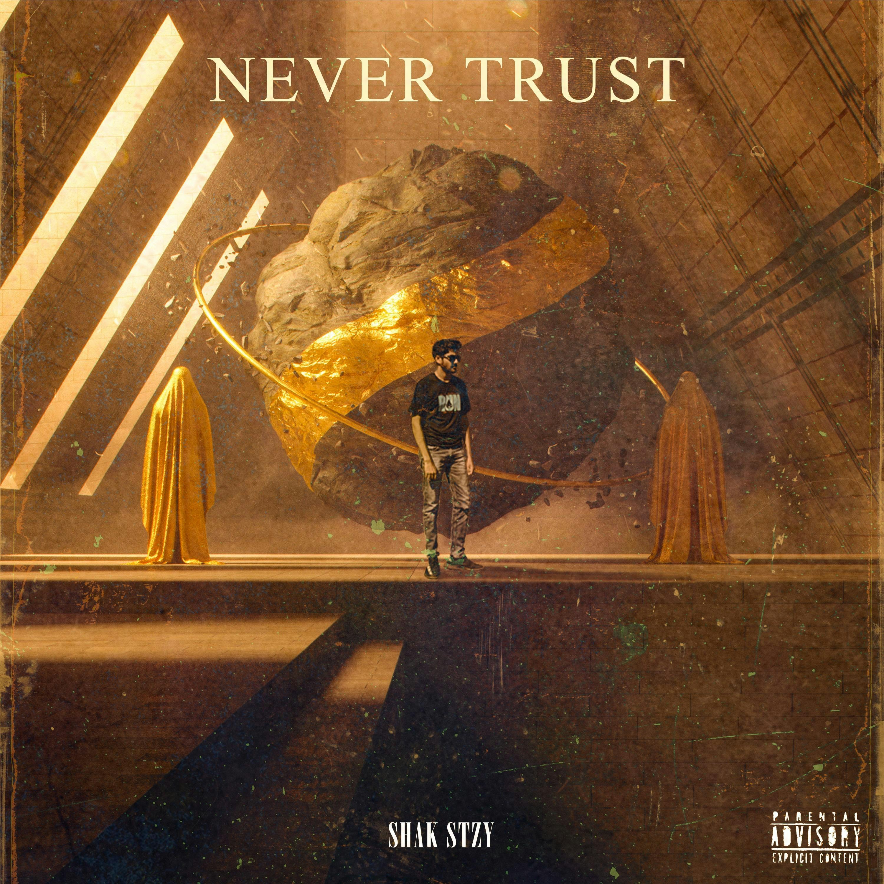 Cover art for Never Trust by Shak